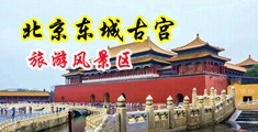 操黑丝美女的逼视频中国北京-东城古宫旅游风景区